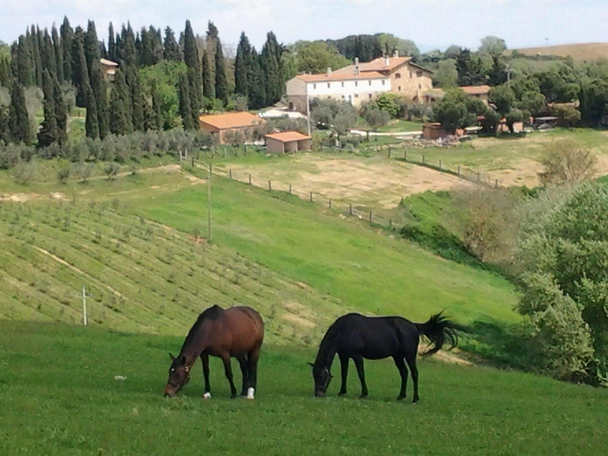 Agriturismo Renello Petroio Exterior foto